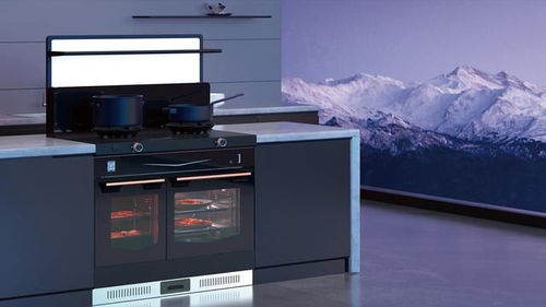 2024年集成灶銷量前十產(chǎn)品盤點(diǎn) 互聯(lián)網(wǎng)銷售市場(chǎng)格局分析